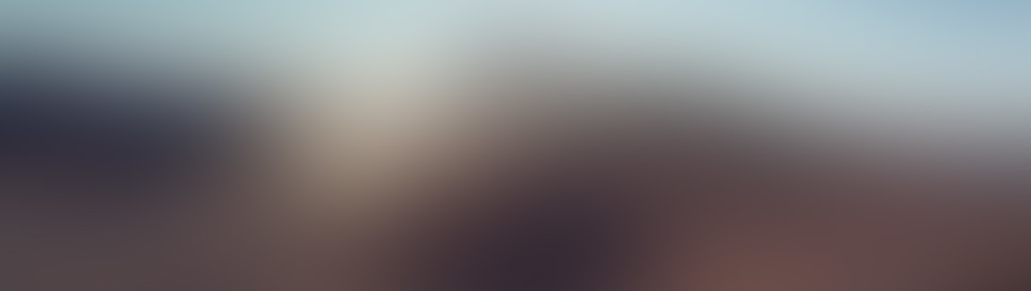 Banner Datenschutz